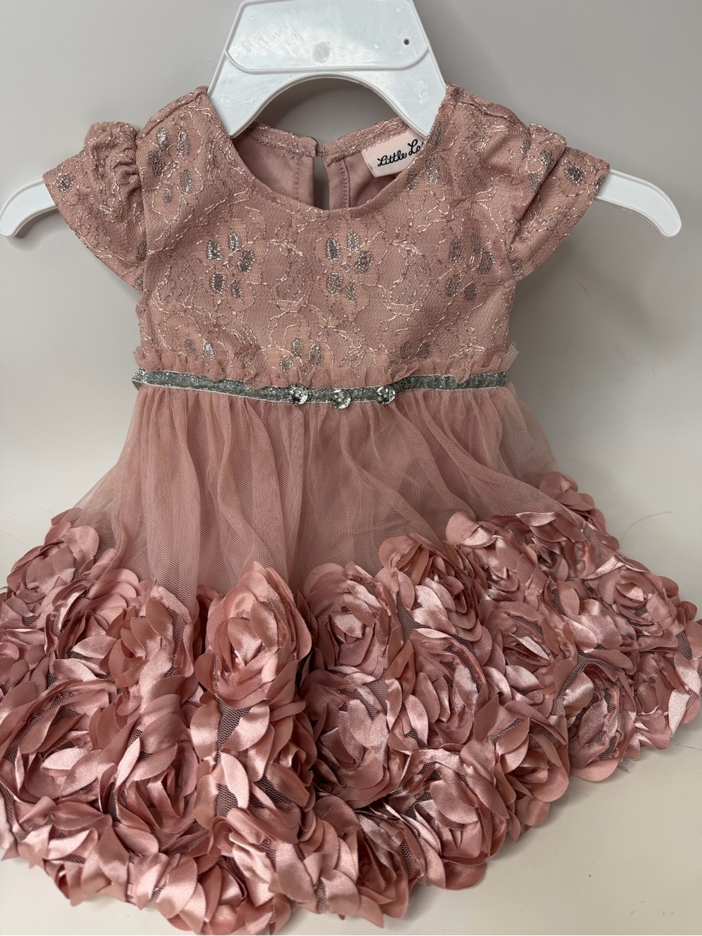 Little Lass Rose Blush Floral Rosette Tulle Dress